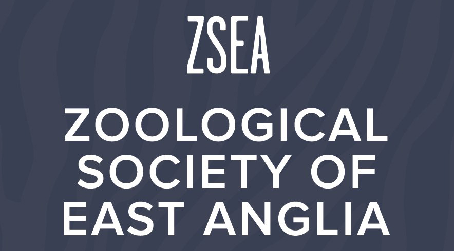 zsea2